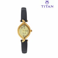 Titan 2455YL02